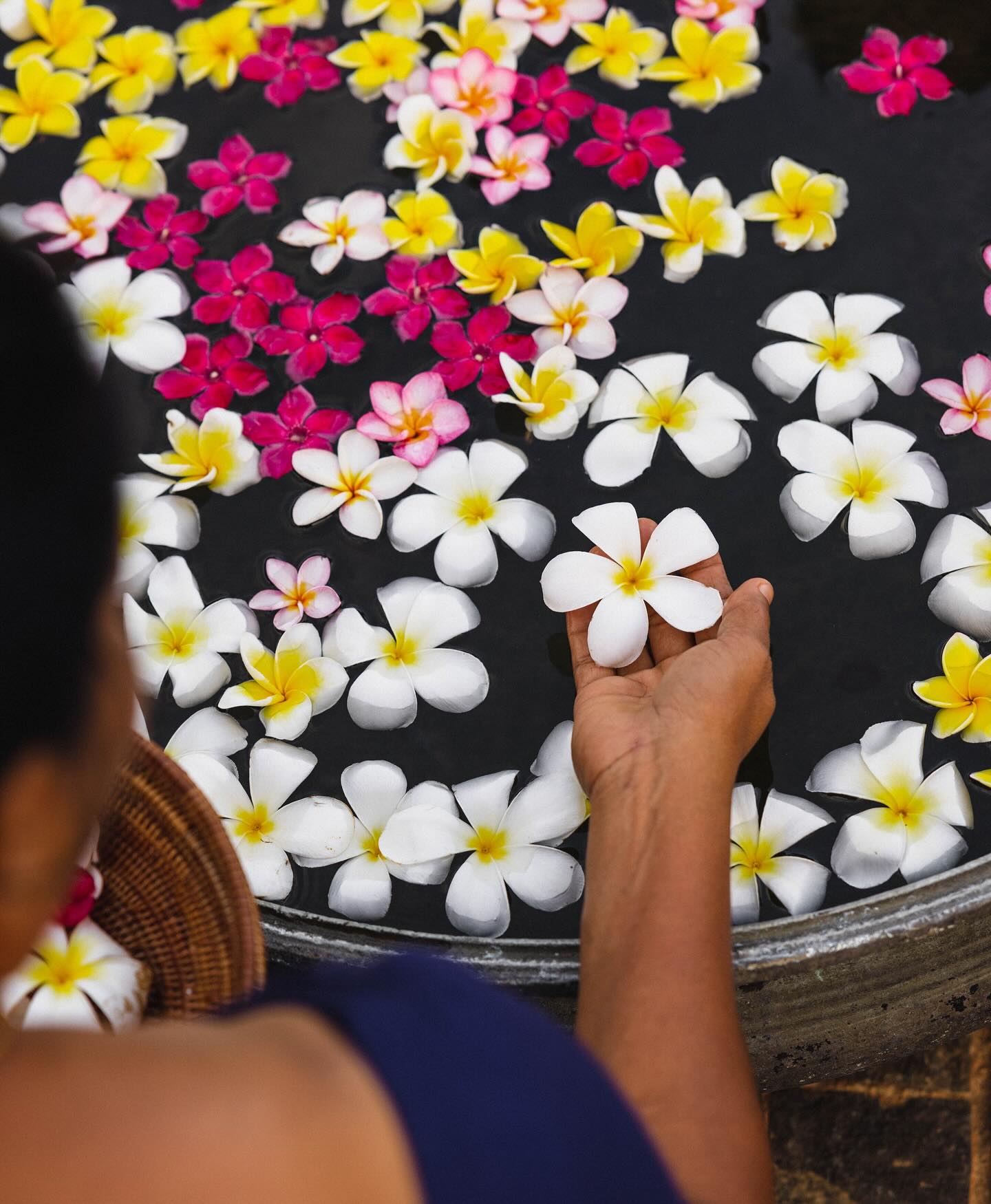 470668420_18331758037157003_935638847016568619_n