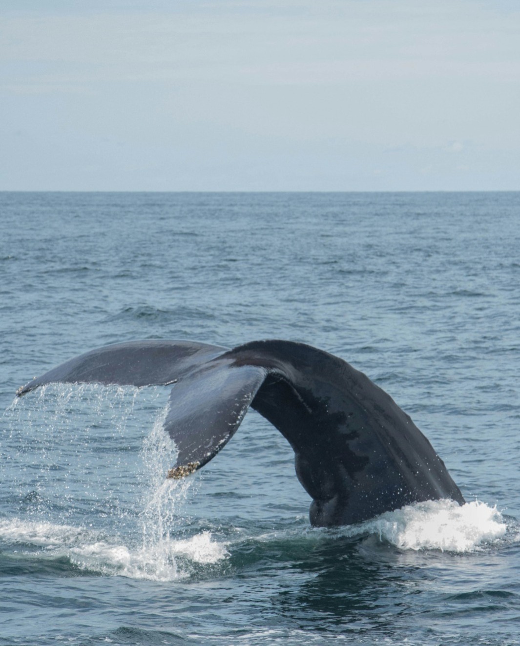 WhatsApp Image 2025 09 29 at 1.15.07 PM