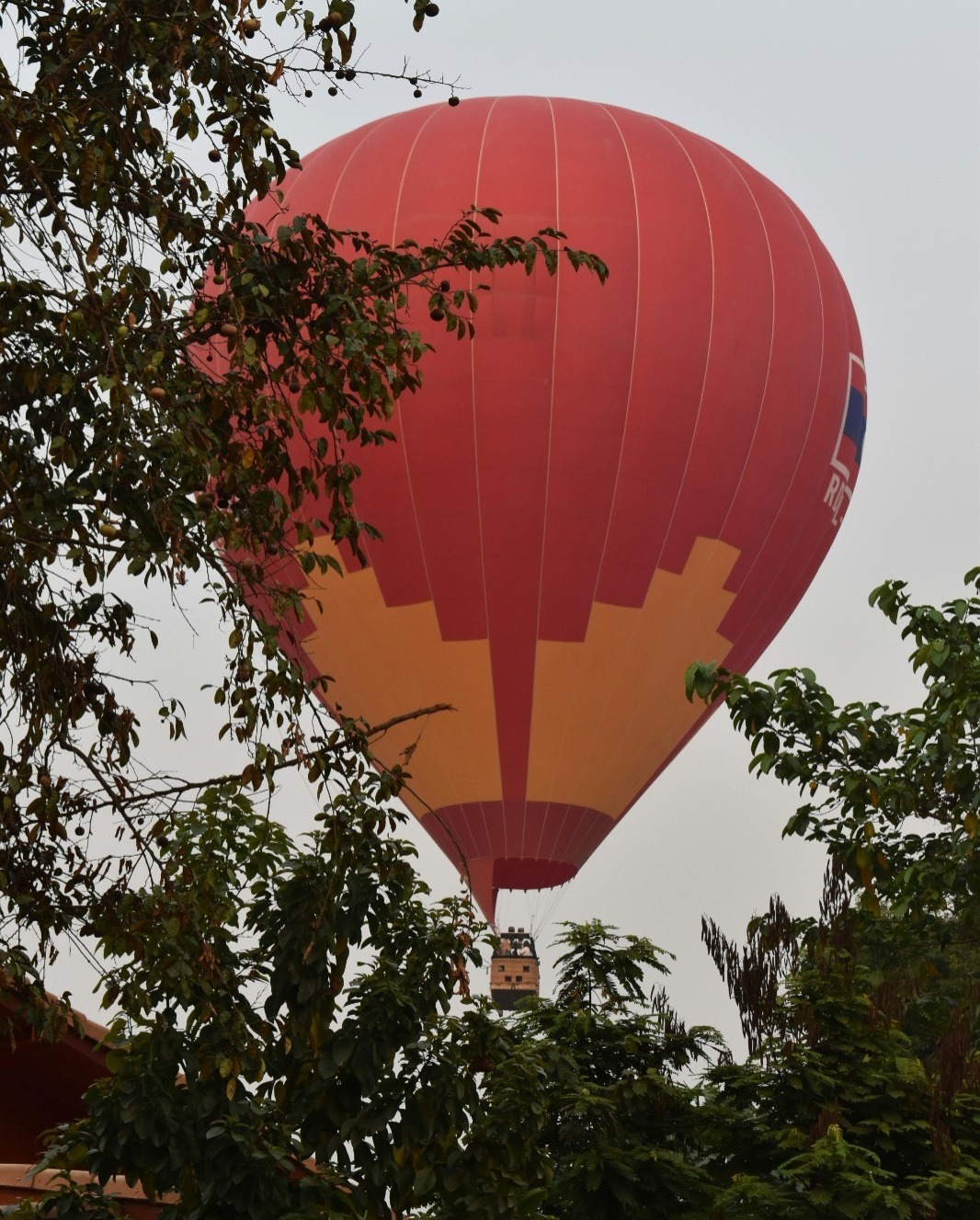 WhatsApp Image 2025 09 29 at 1.56.52 PM